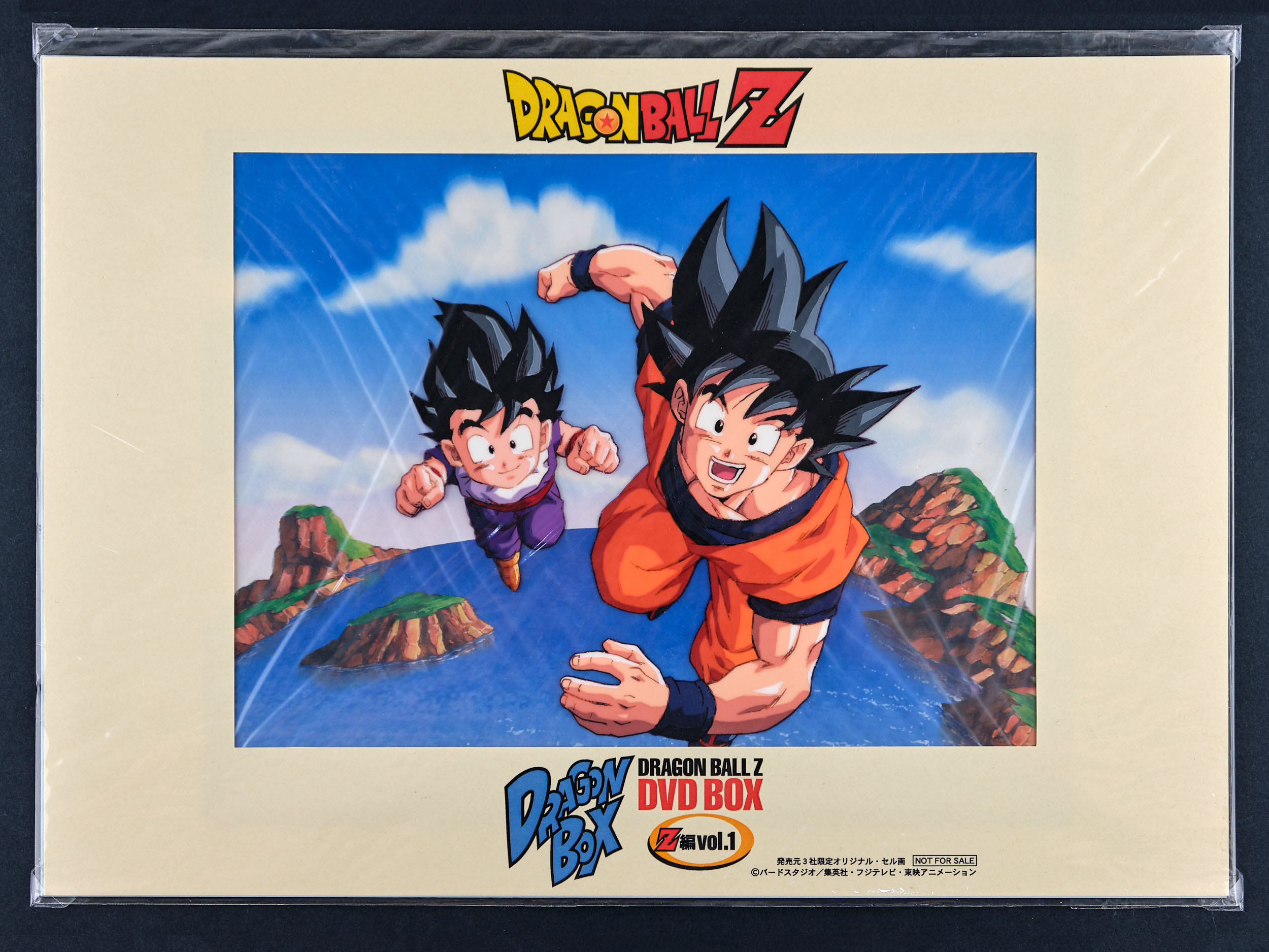 Dragon Box Dragon Ball Z DVD Box vol. 1 limited sericel (2003)
